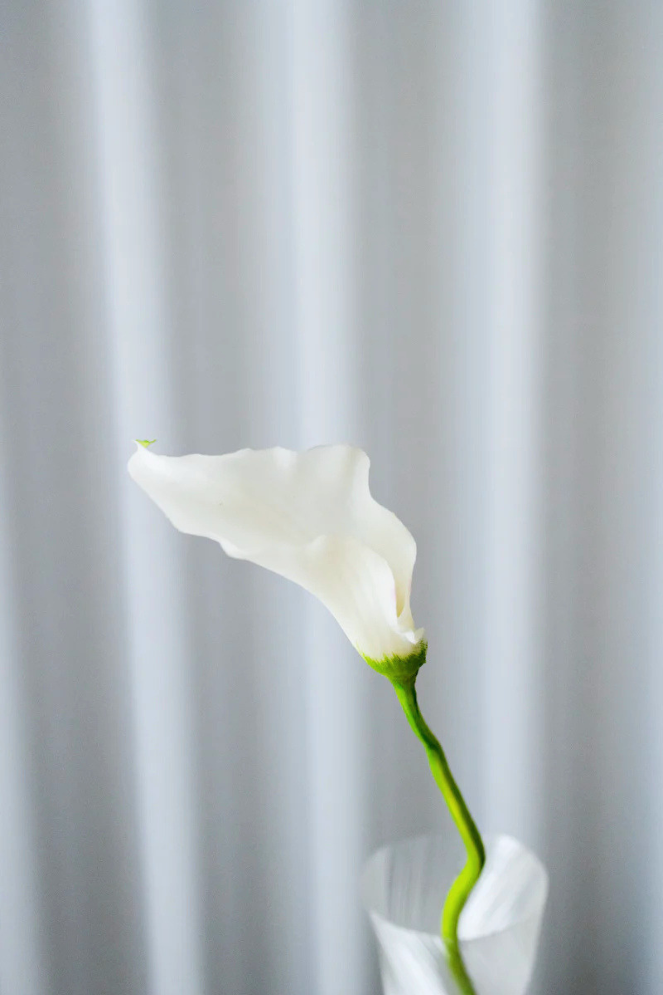 Kunstig Calla lilje - hvid